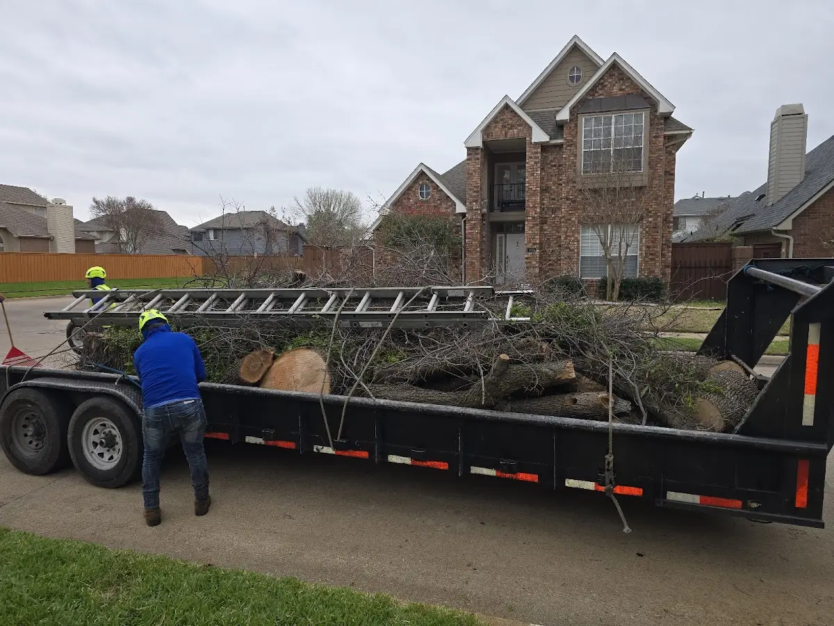 Expert Tree Fertilization with proper safety equipment in Brewster